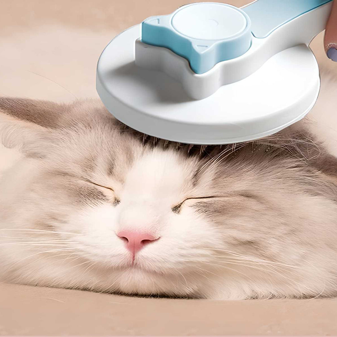 Pet Hair Removal Brush