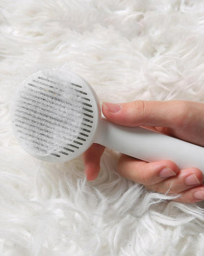 Pet Hair Removal Brush