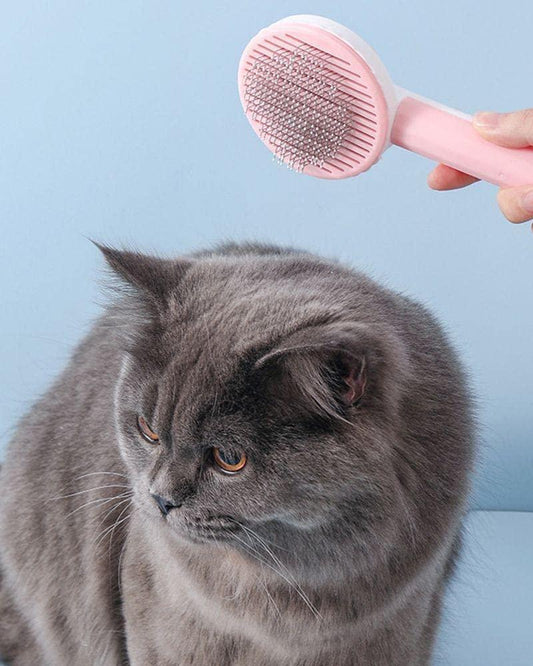 Pet Hair Removal Brush